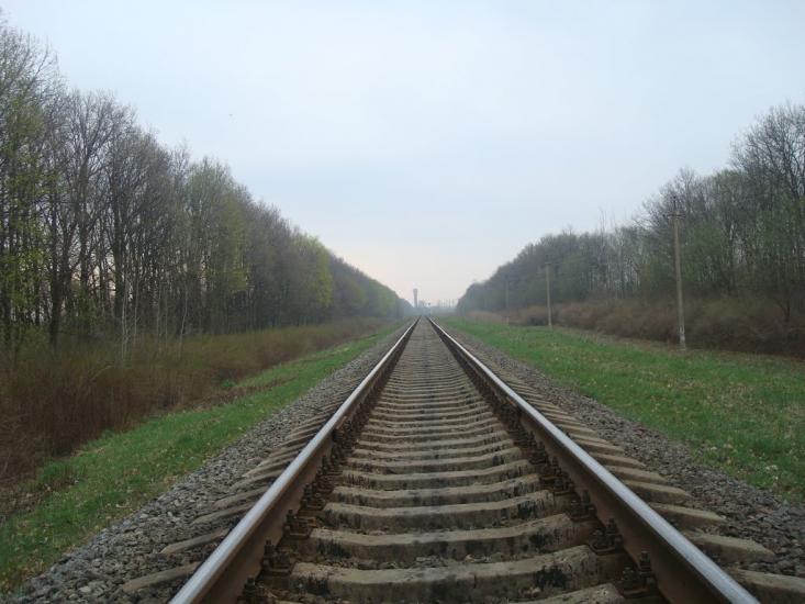 Пашківці з panoramio.com - Пашковцы