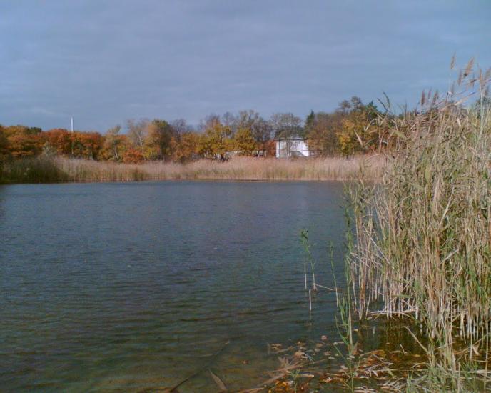 Книшівка з panoramio.com - Кнышовка