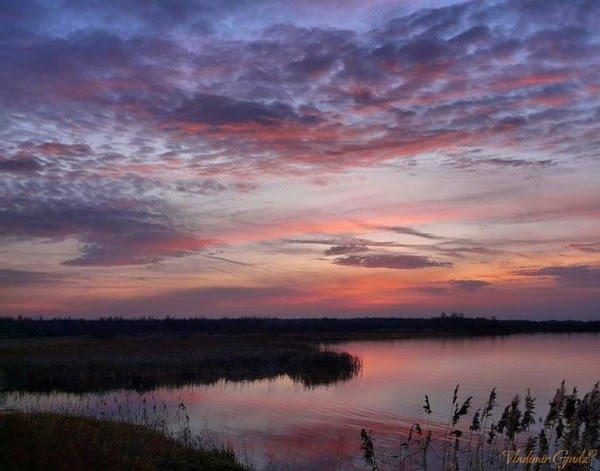 Перлявка з panoramio.com - Перлявка