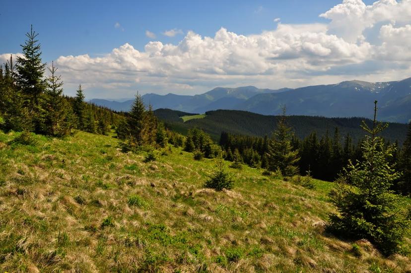 Кривопілля з panoramio.com - Kryvopillya