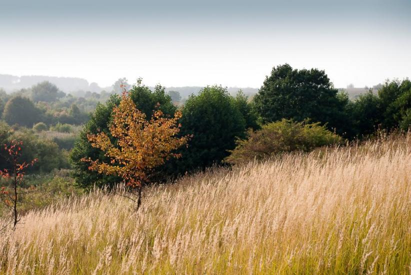 Хотин з panoramio.com - Хотин