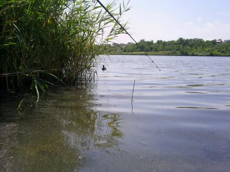 Сухий Лиман з panoramio.com - Сухой Лиман