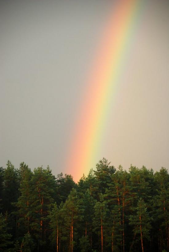 Лукищина з panoramio.com - Лукищина