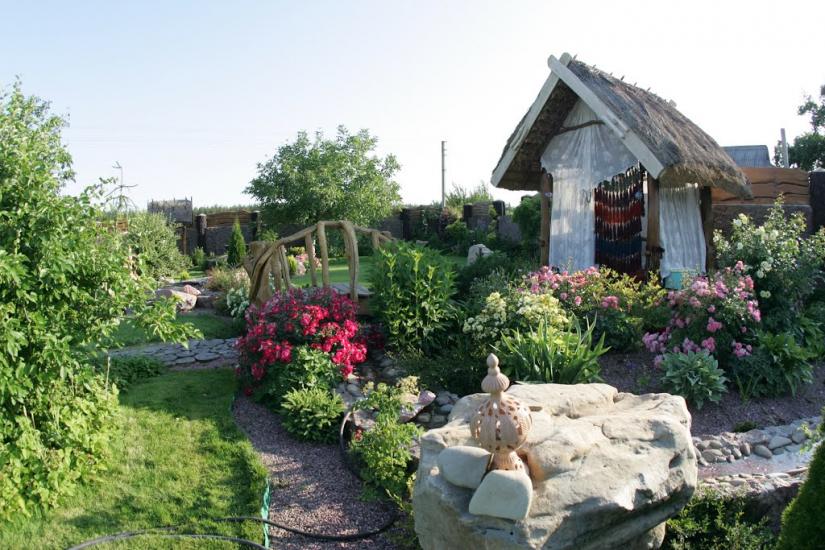 Синиця з panoramio.com - Синица