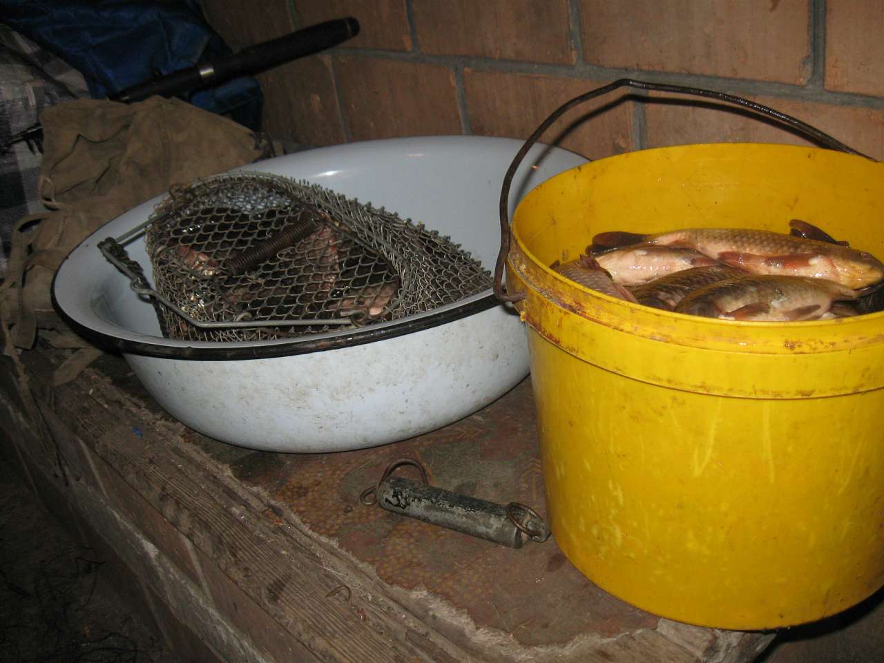 РІДНЕ - Коломийцево Озеро