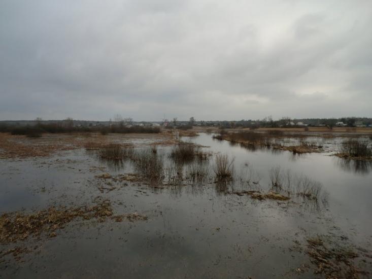 Думинське з panoramio.com - Думинское