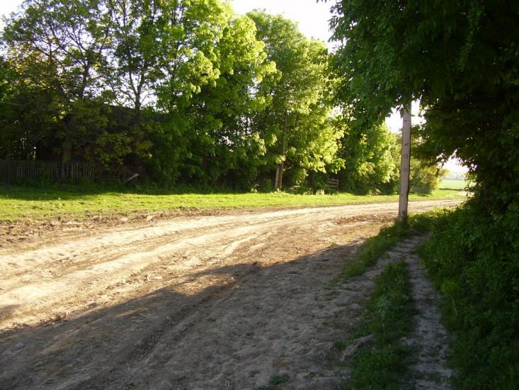 Коржівці з panoramio.com - Коржевцы