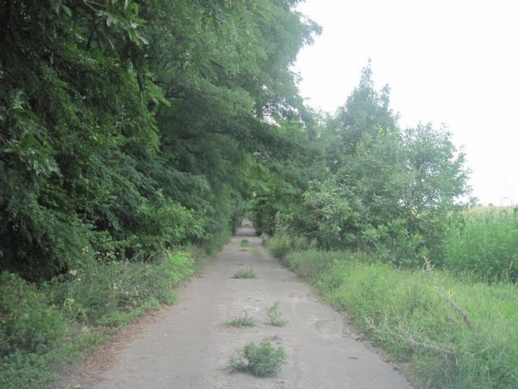Павлиш з panoramio.com - Павлиш
