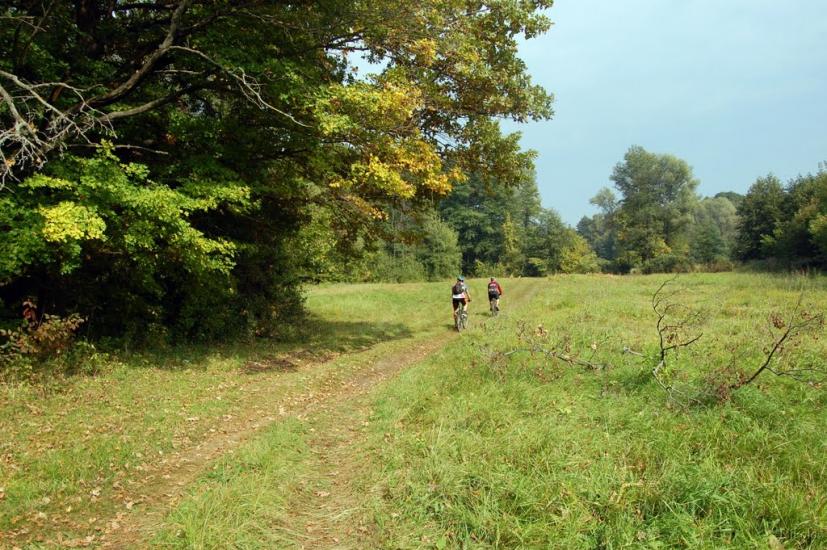 Серебрянка з panoramio.com - Serebryanka