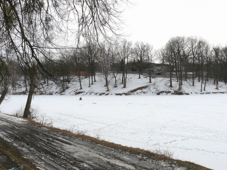 Високий з panoramio.com - Высокий