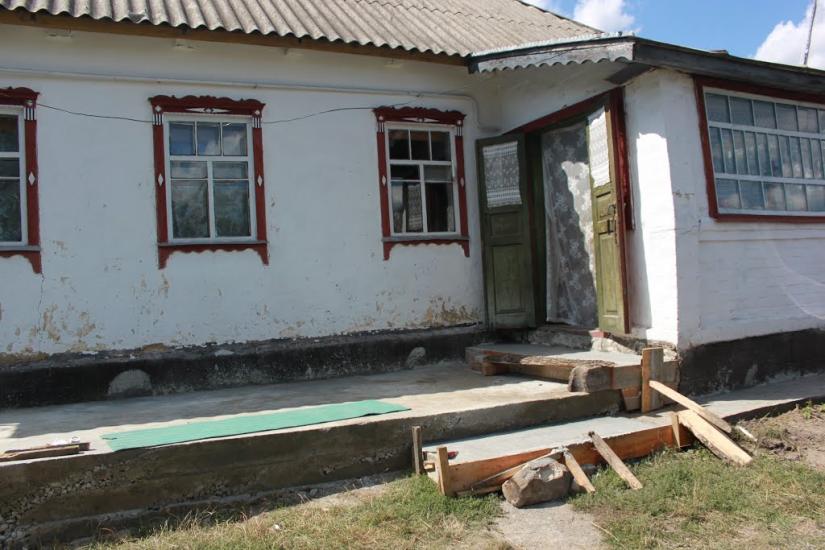 Ромашки з panoramio.com - Ромашки