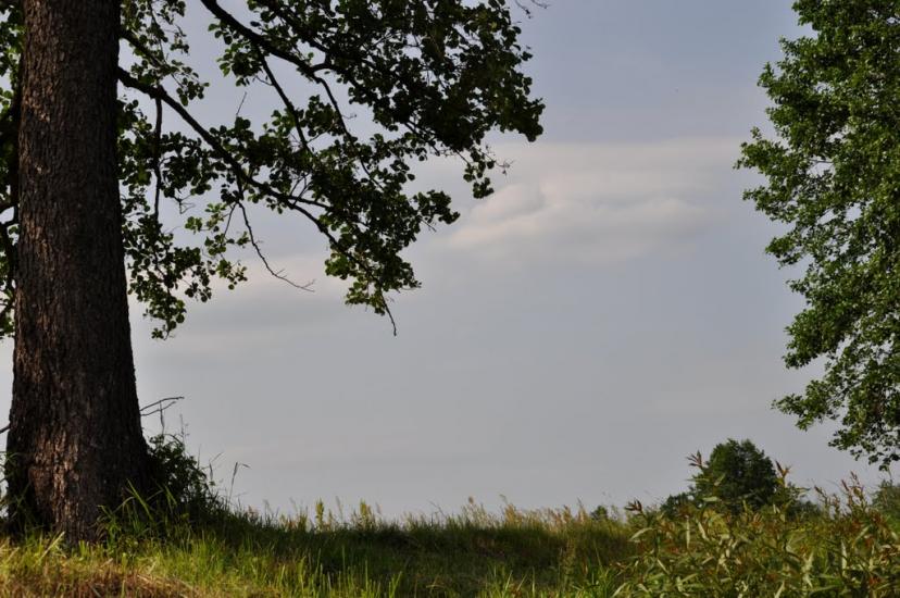 Рудня-Шпилівська з panoramio.com - Rudnya-Shpylivska