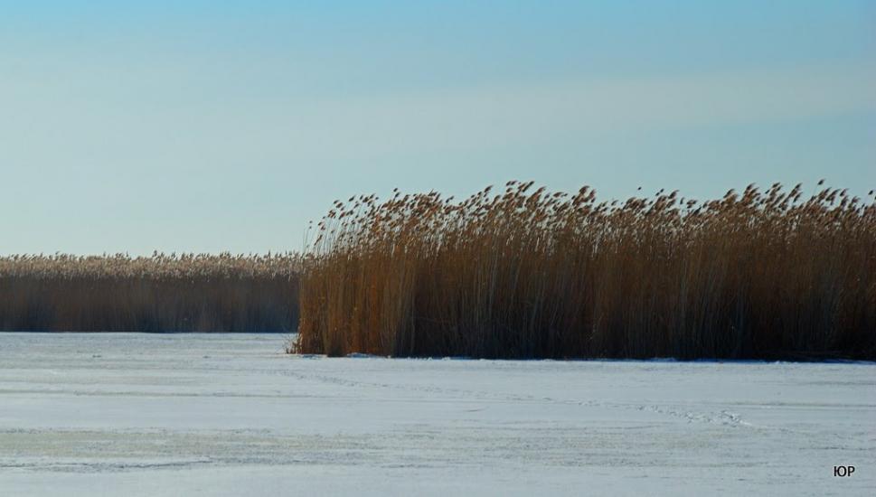 Мала Перещепина з panoramio.com - Малая Перещепина