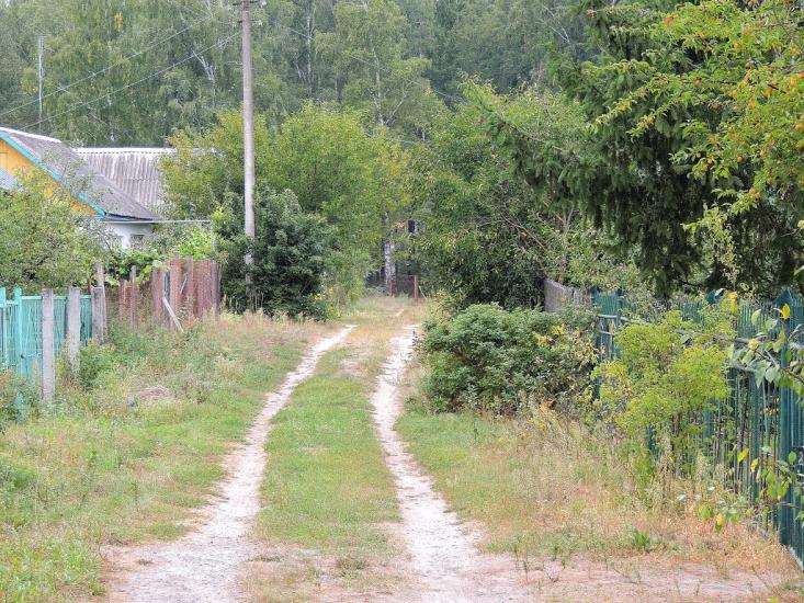 Деревини з panoramio.com - Деревины