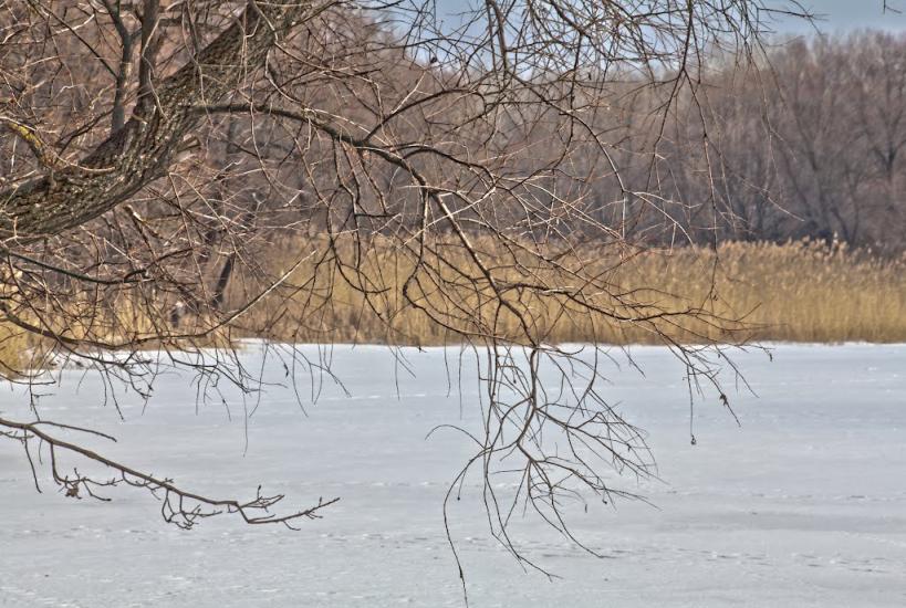 Хотімля з panoramio.com - Khotimlya