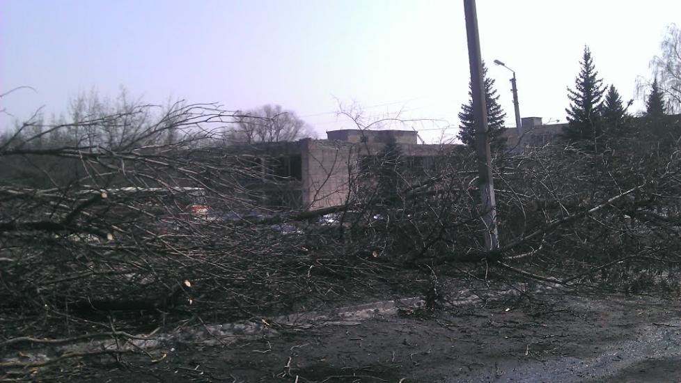 Золоте з panoramio.com - Золотое