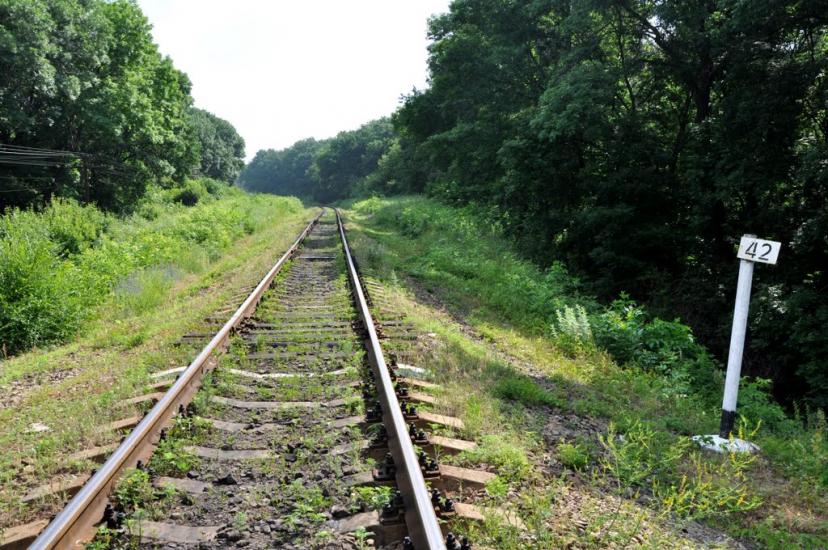 Золоте з panoramio.com - Золотое