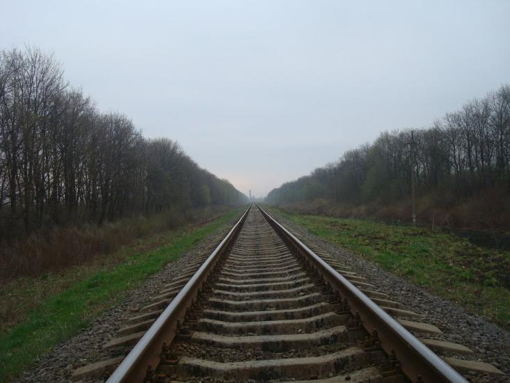 Пашківці з panoramio.com - Пашковцы