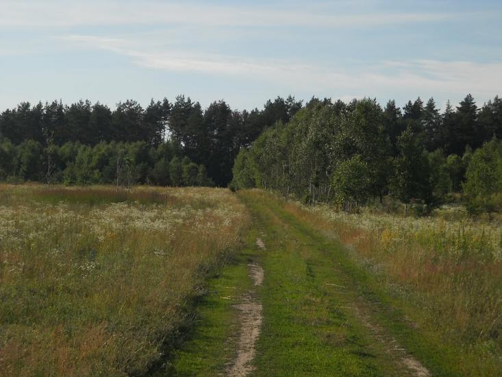 Струмок з panoramio.com - Струмок