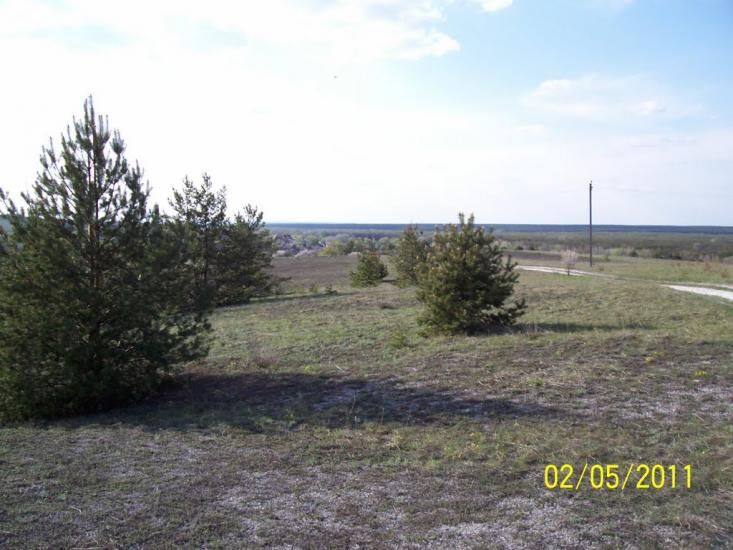 Пискунівка з panoramio.com - Pyskunivka