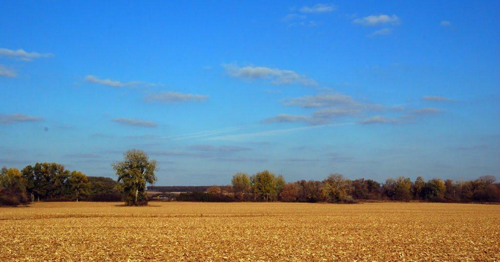 Сапожине з panoramio.com - Сапожино