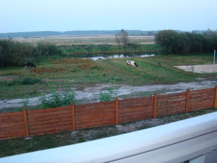 Комарове з panoramio.com - Комарове