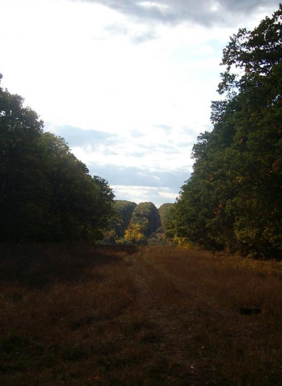 Кочеток з panoramio.com - Kochetok