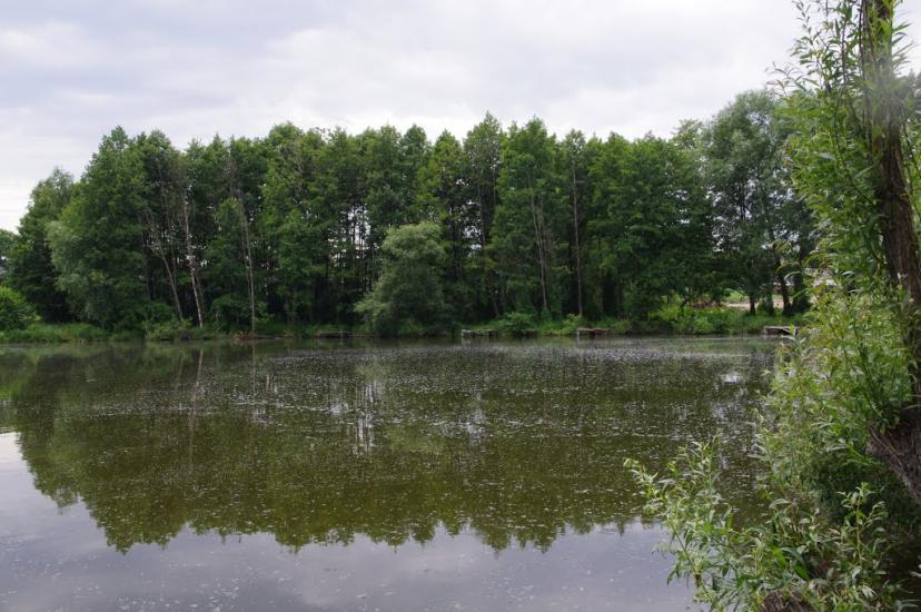 Блиставиця з panoramio.com - Блиставиця