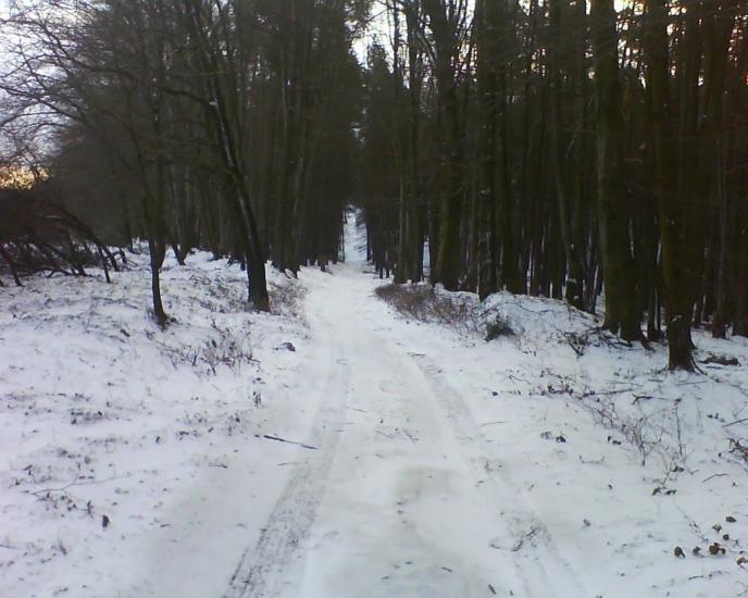 Івано-Франкове з panoramio.com - Ivano-Frankove