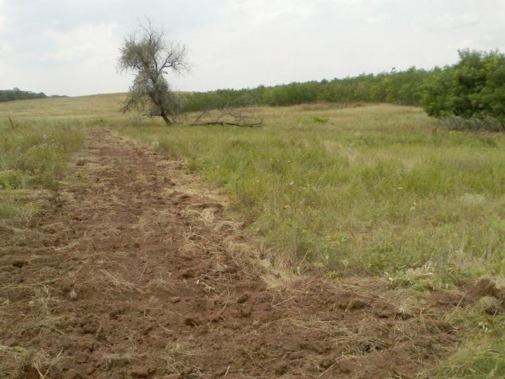 Красний Партизан з panoramio.com - Красный Партизан