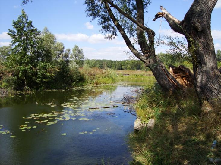 Наталине з panoramio.com - Наталино