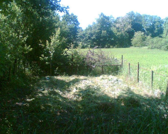 Збаржівка з panoramio.com - Збаржівка