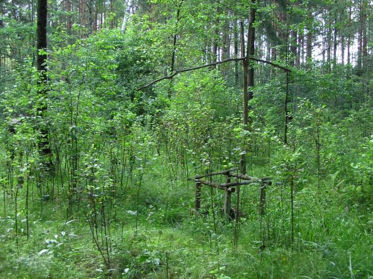 Струмок з panoramio.com - Струмок