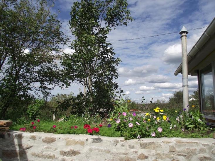 Городище-Пустоварівське з panoramio.com - Городище-Пустоваровское