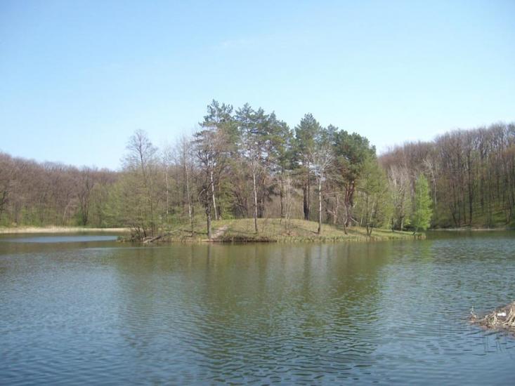 Газове з panoramio.com - Газовое