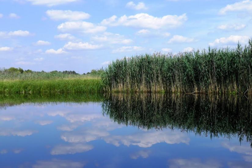 Хоцунь з panoramio.com - Хоцунь