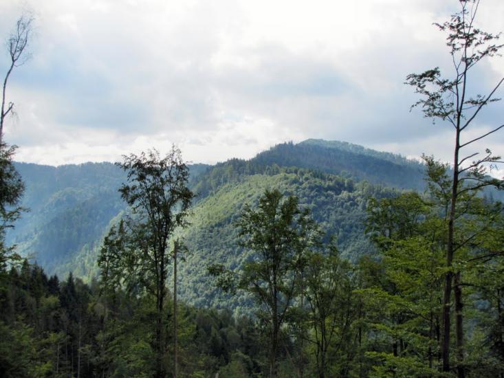 Кам'янка з panoramio.com - Каменка