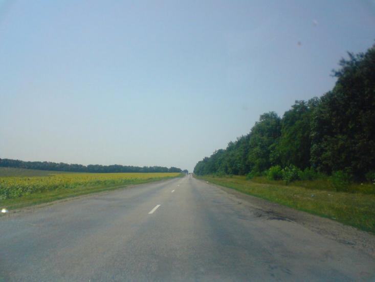Павлиш з panoramio.com - Павлиш
