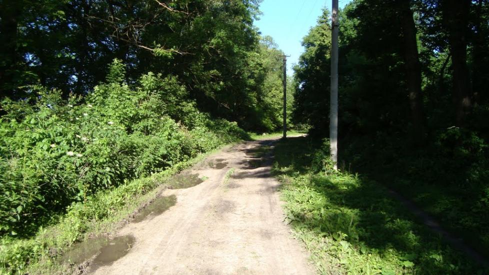 Раціборівка з panoramio.com - Рациборовка