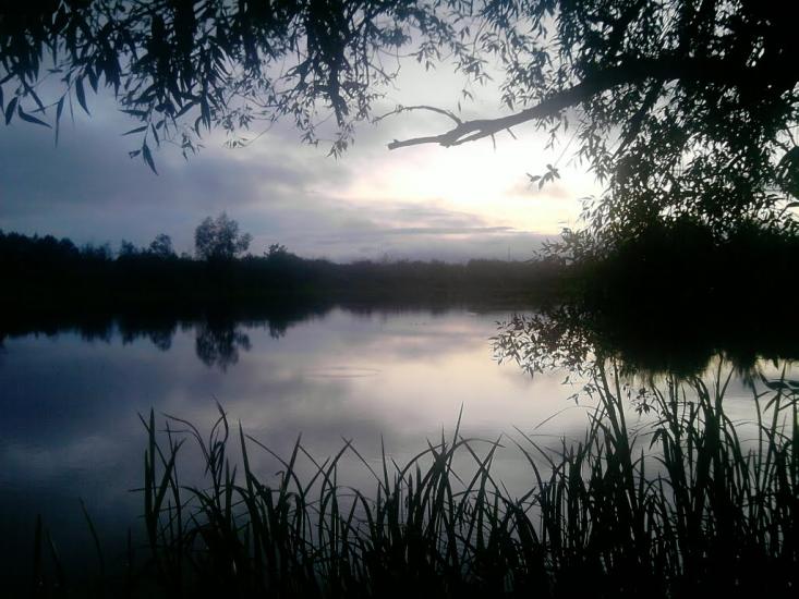 Сарни з panoramio.com - Сарни
