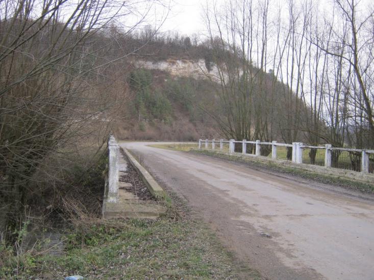 Золота Липа з panoramio.com - Золотая Липа