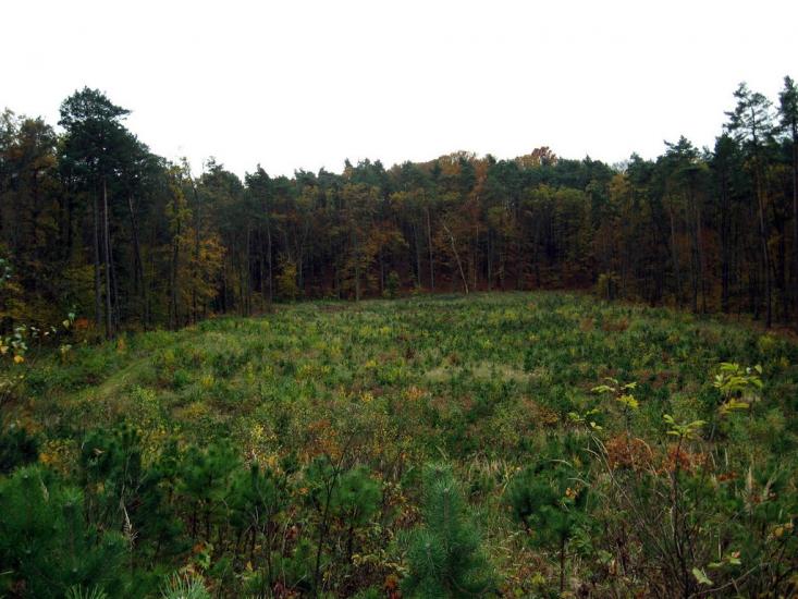 Страдч з panoramio.com - Страдч