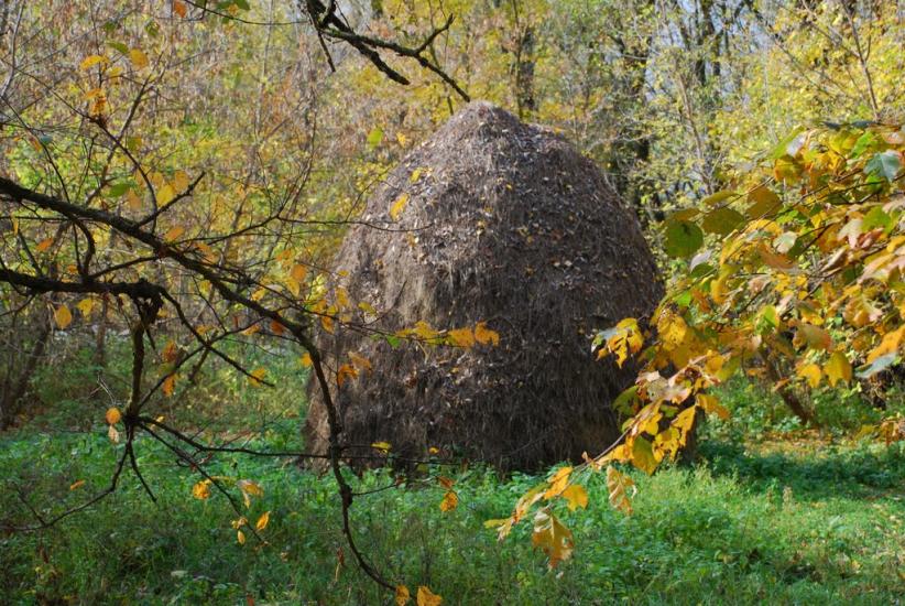 Остапівка з panoramio.com - Остаповка