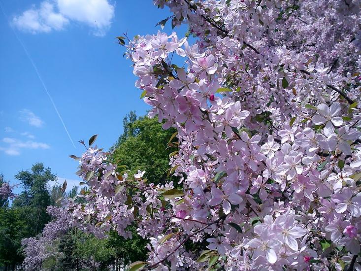 Вугледар з panoramio.com - Vugledar