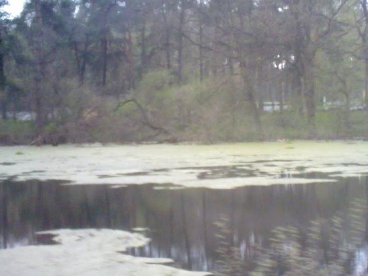 Великі Мости з panoramio.com - Великі Мости