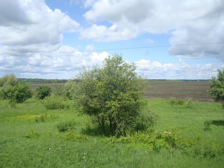 Жищинці з panoramio.com - Жищинці