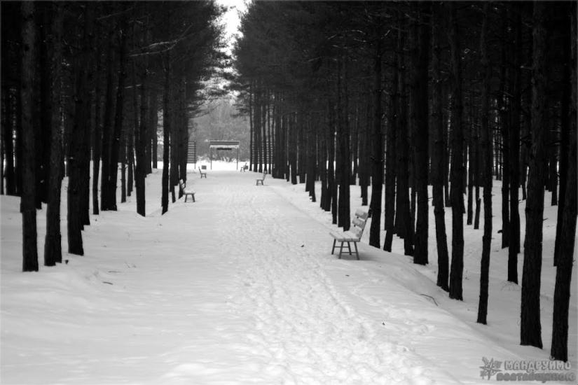 Мала Перещепина з panoramio.com - Малая Перещепина