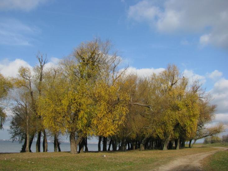 Малокаховка з panoramio.com - Малокаховка