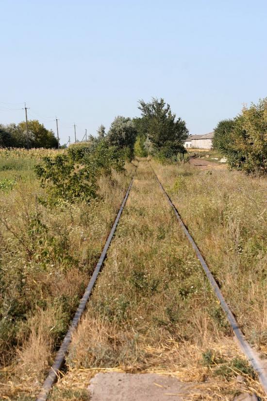 Кам'янка з panoramio.com - Камянка