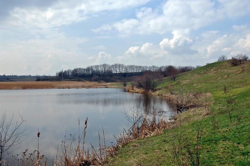 Птиче з panoramio.com - Птичье